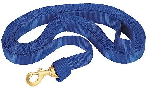 Weaver Leather Flat Nylon Lunge Line Blue, 1" x 30'