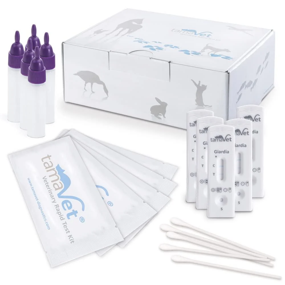 tamaVet 5X Giardia Rapid Test Dog & Cat - Immediate certainty about the health of your animal in case of diarrhea and intestinal parasites - For the detection of Giardia antigens in animal feces 5 pieces (1 pack)