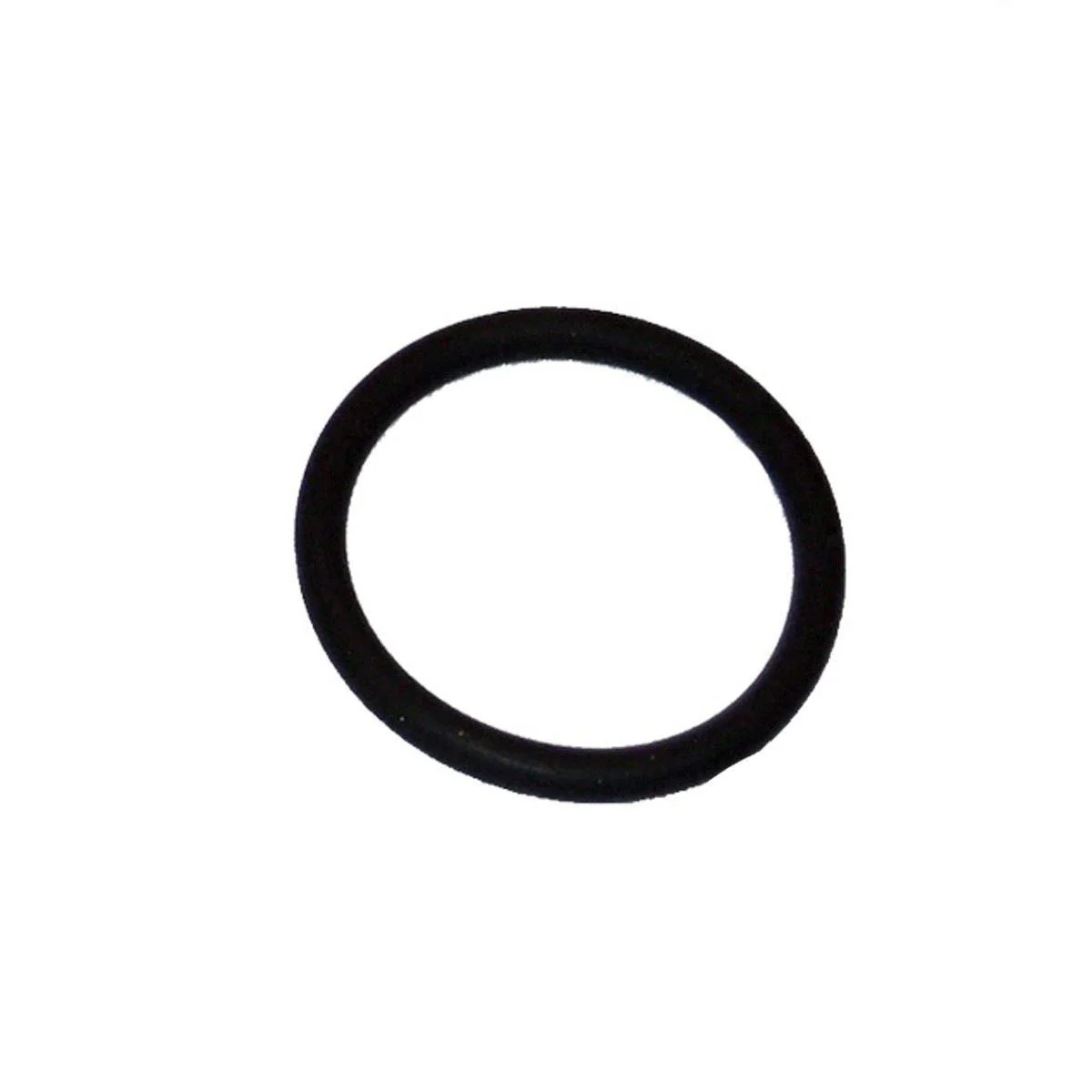 Oase Replacement O Ring for Quartz Sleeve (Part 73481)