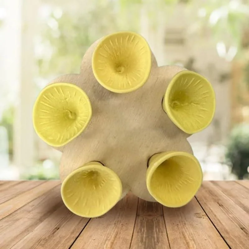 Colorful Bee Insect Drinking Cup Bee Insect Drinking Cup Bee Cups Thirsty Pollinators Need a Drink Bees Need Safe Places to Drink! Bee Cups Collect a Teaspoon Of Water (Yellow) - hardinox