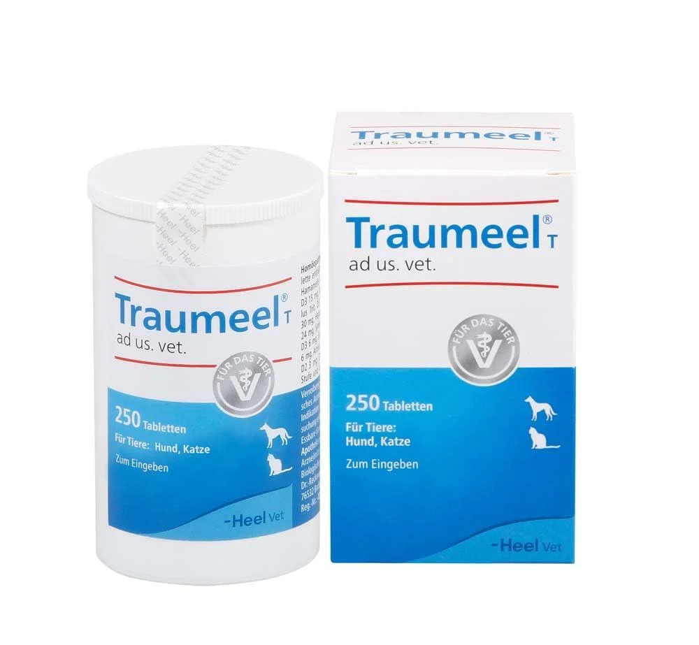 Traumeel t ad US.Vet.abletten 250 ST