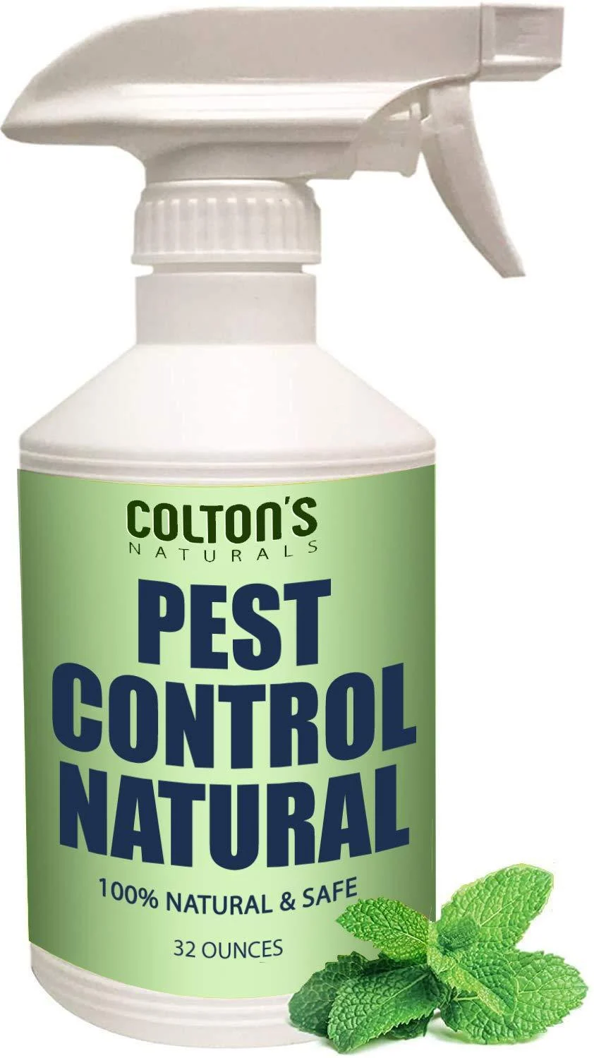 Natural Bug & Insect Repellent Spray Mint- 100% Natural Safe Non-Toxic Spiders, Ants, House Roach, Fleas, etc Fast Acting Pest Control Spray Organic Cedar Lemongrass (32 Ounce) 8 Pound (Pack of 1)