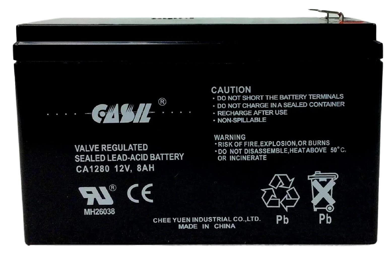 Casil 12V 8Ah Replacement Battery Compatible with LongWay 6FM8