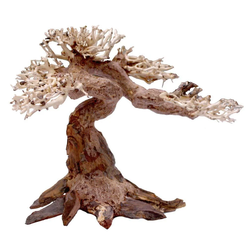 Amtra - Oriental Wind 5 wood handmade for aquarium 25x10x18 CM brown Small