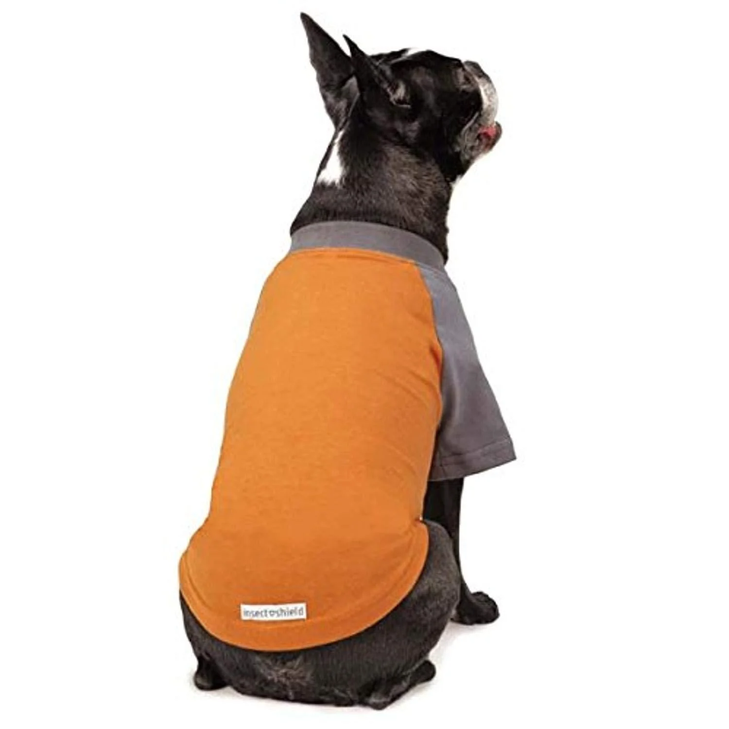 Insect Shield Insect Repellant Premium T-Shirt for Protecting Dogs from Fleas Ticks Mosquitoes & More Orange L