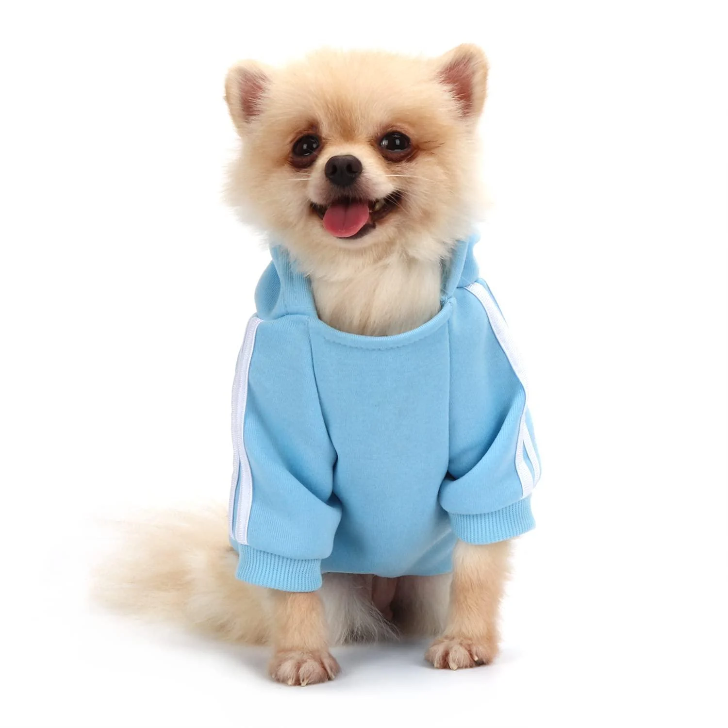 QiCheng&LYS Dog Coat Dog Hoodies Clothes Pet Puppy Cat Cute Cotton Warm Hoodies Coat Sweater (Blue M) Blue M