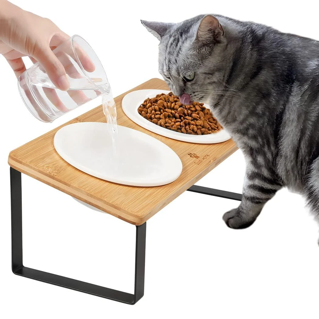 Elevated Cat Bowls, Raised Ceramic Cats Puppy Dishes for Food and Water, Tilted Bamboo Stand for Anti Vomiting, Indoor 5.5 inch Wide Dish for Whisker Friendly Iron Stand Bowl 5.5in - Sunhoo
