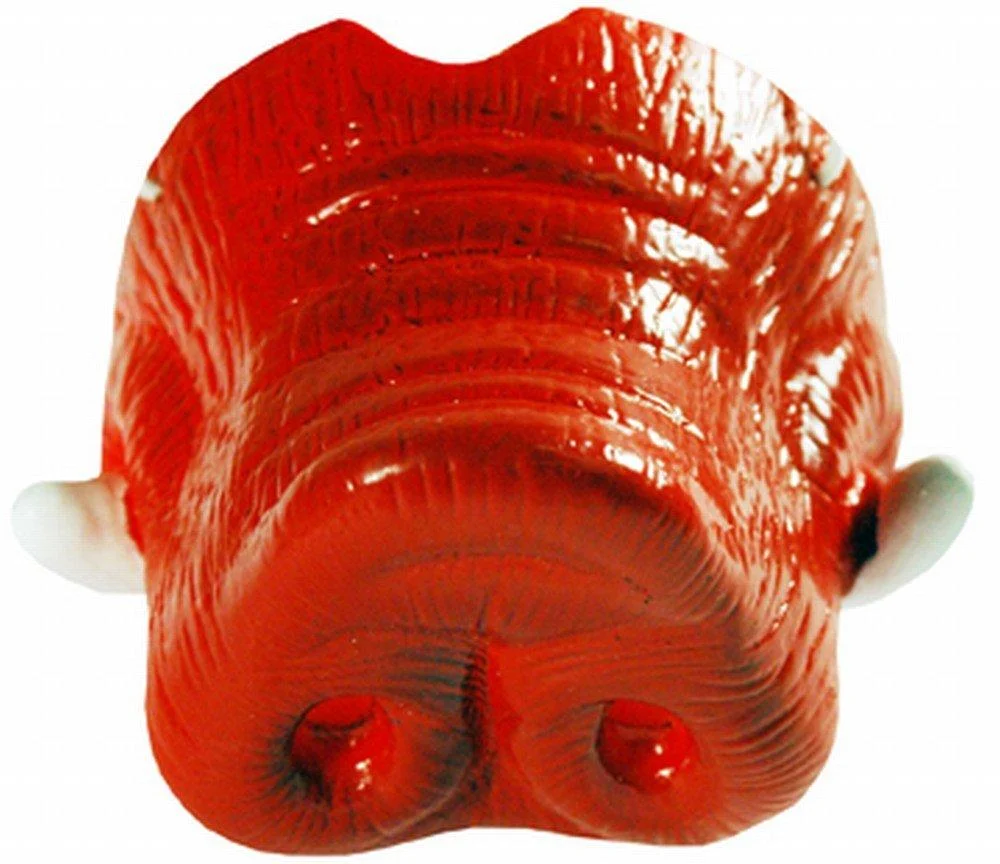 NCAA Arkansas Razorbacks Hog Nose with Tusk - Game Day Outfitters