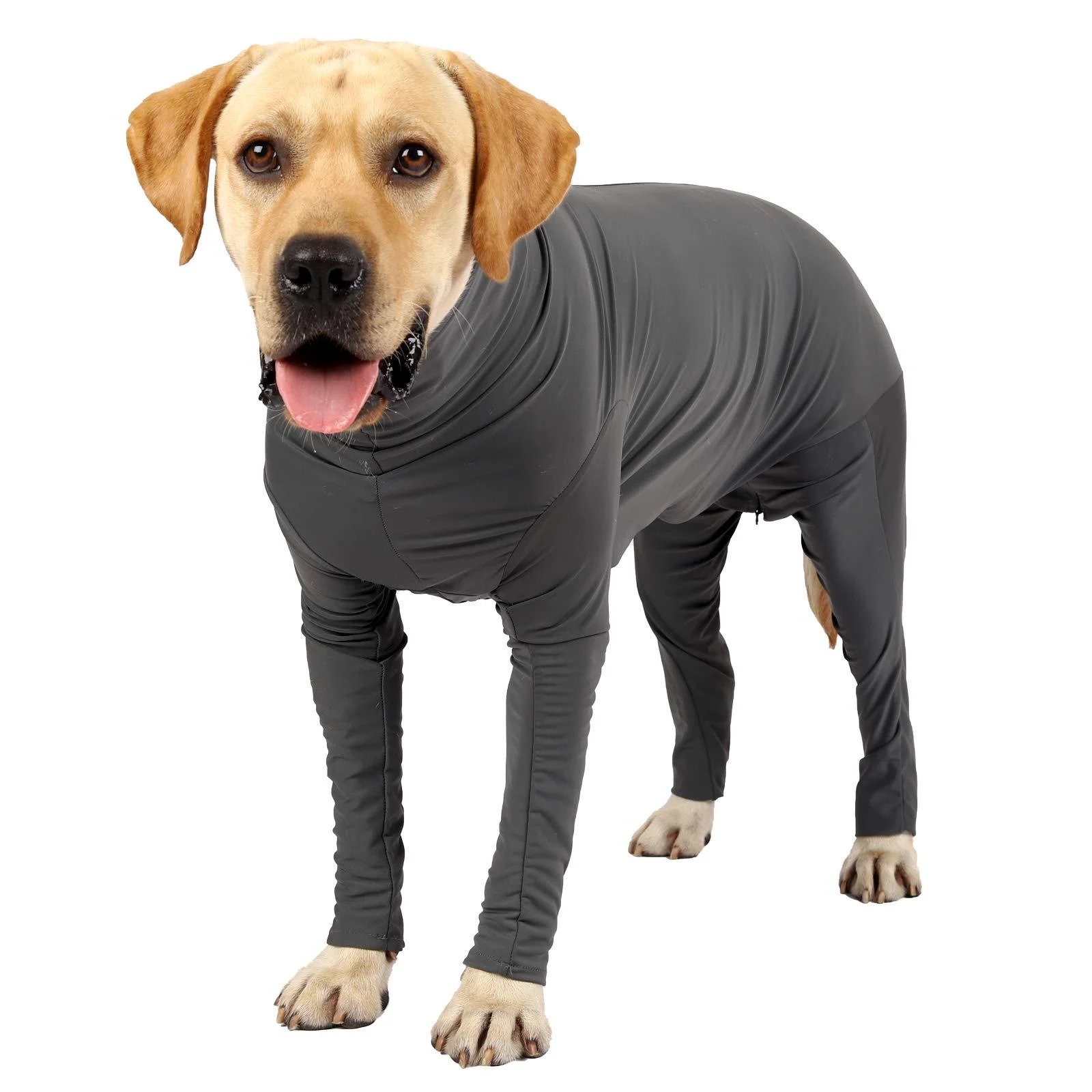 Etdane Dog Onesie After Surgery Pet Surgical Recovery Suit Anti Shedding Bodysuit for Female Male Dog Long Sleeve Claming Pajamas with Legs Grey/XXL XX-Large Grey