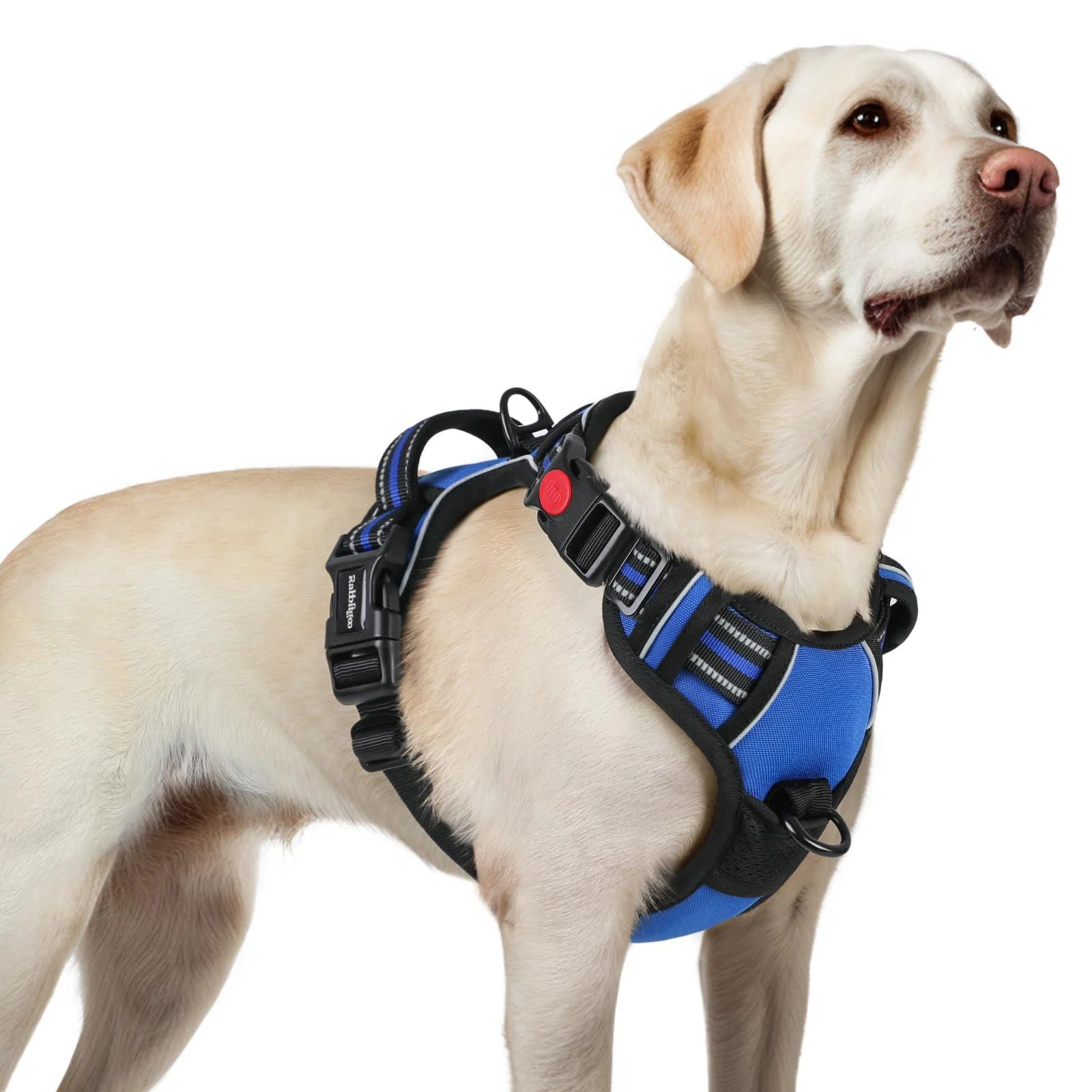 Rabbitgoo dog harness Large dogs dog harness without train adjustable dishes dog without chokes anti -train dog harness with handle soft padded reflective chest harness blue L l (1 Pack) blue