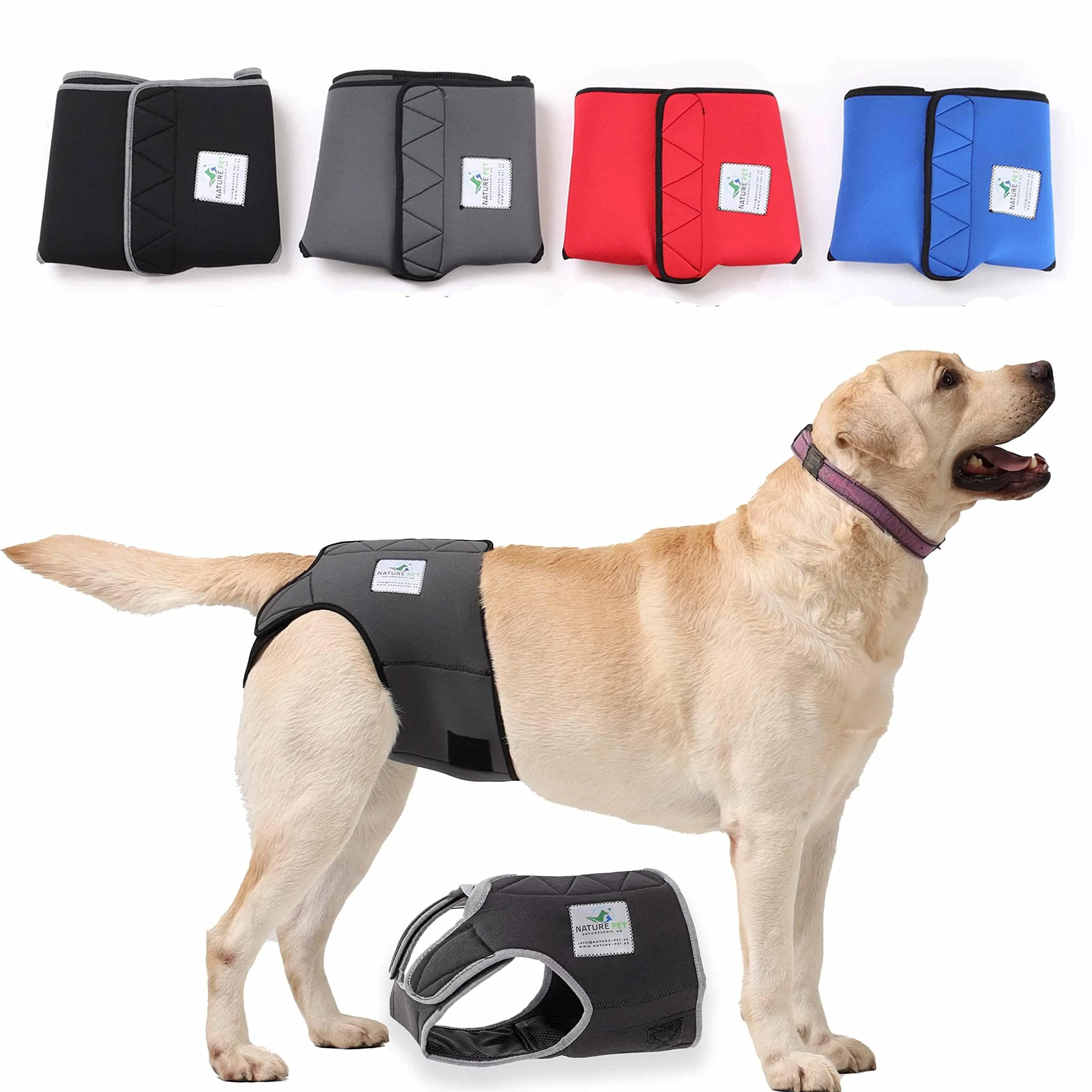 Nature PET - Funeral pants for bitches 2.0 Without the annoying threading of the rod - dog diapers for male - incontinence dog flashing - cuddly soft and hygienic (m 5) black M