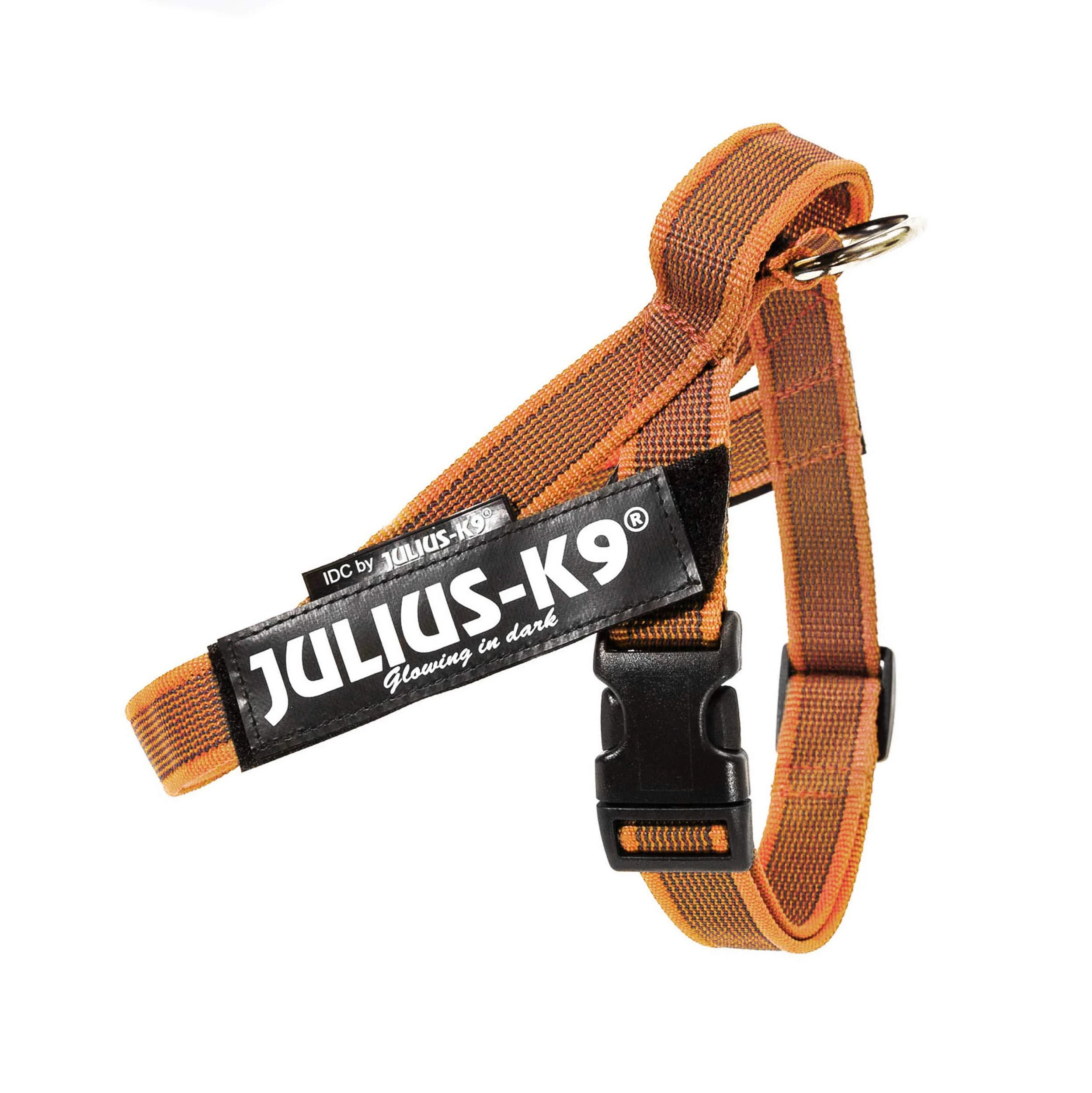 Julius-K9 Color & Gray Belt harness S / Mini orange-grey