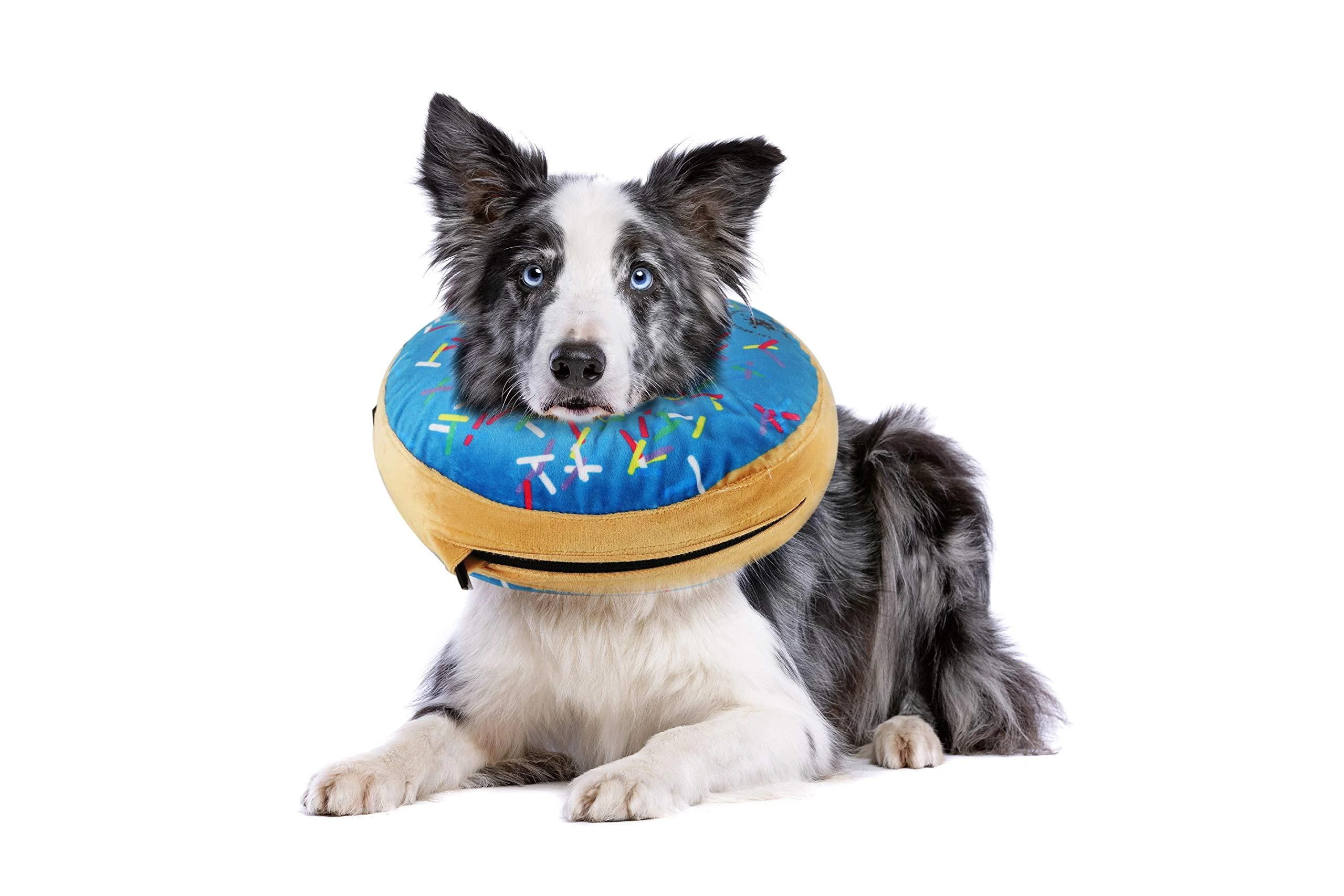 Inflatable dog collar as a ruff dog |Great alternative to the ruff or bowling collar | Ultrab-comfortable dog-concrete dogs as a leak protection dog for relaxation |For small dogs (blue) small blue
