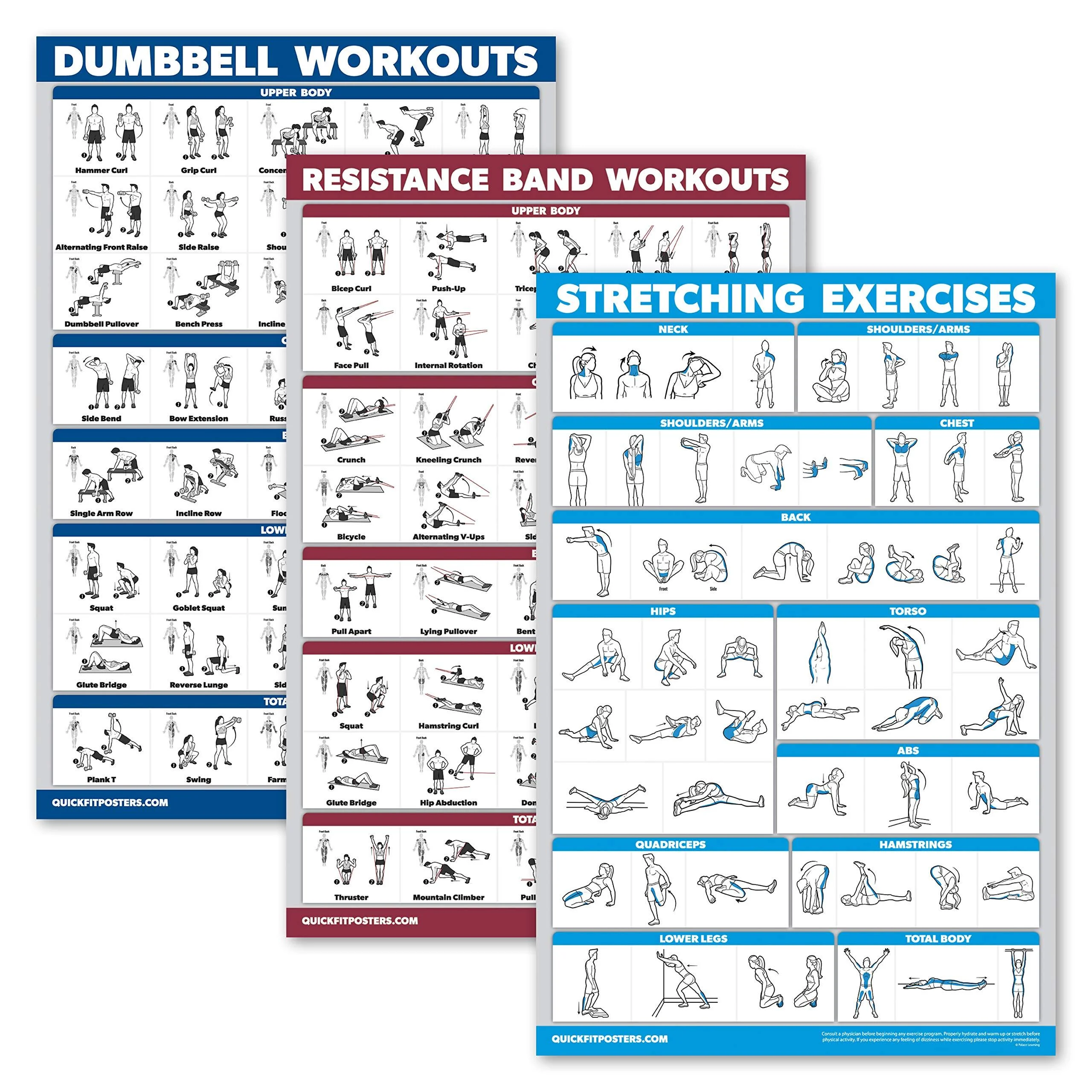 Palace Learning 3-Pack: Dumbbell Exercise Poster + Resistance Bands Workouts + Stretching Exercises-Set with 3 training tables (laminated 45.7 x 61 cm) laminated 18 "X 24"