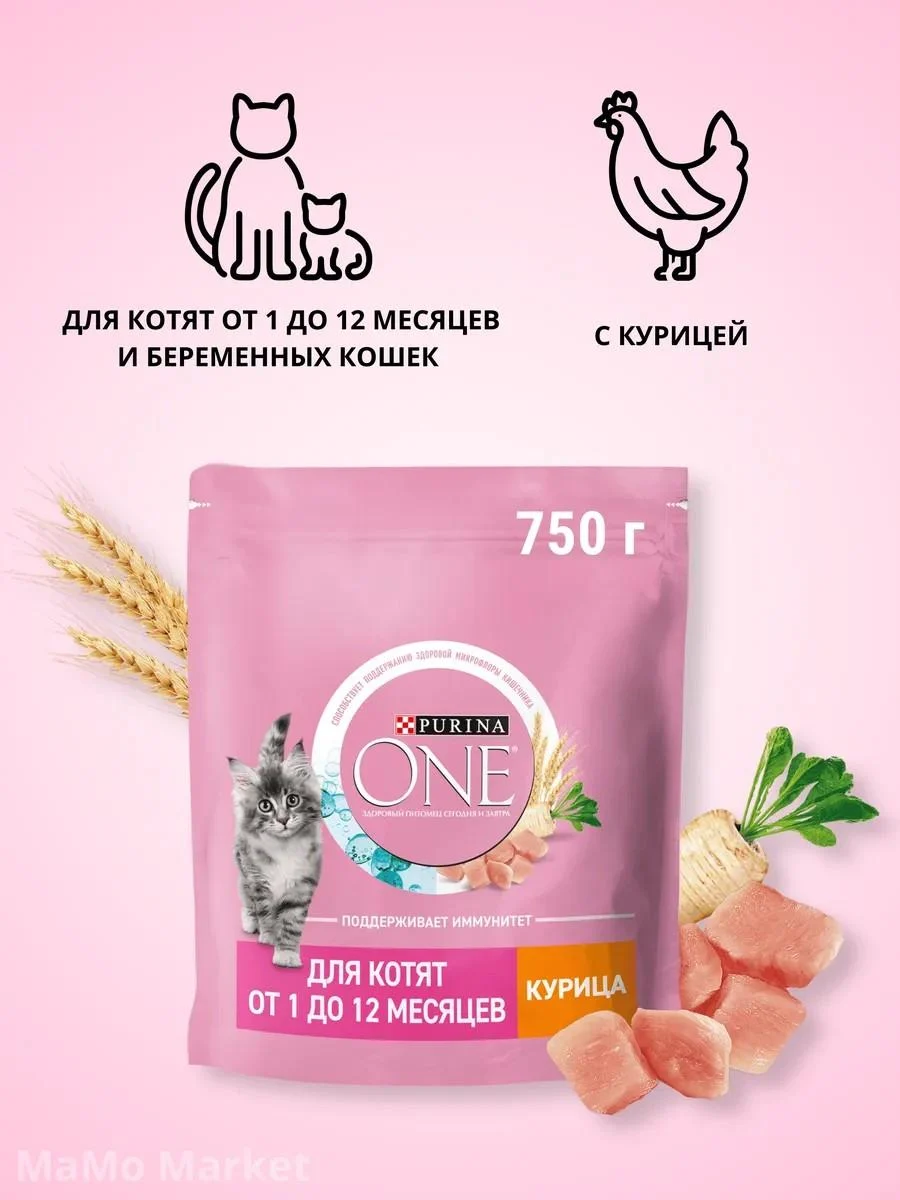 PURINA ONE Kittens of dry kittens with chicken 750 g