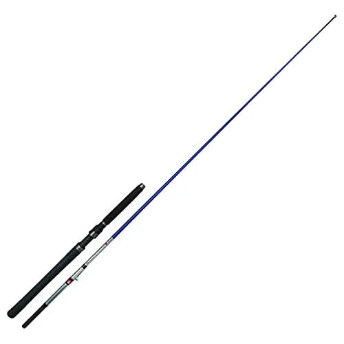 Jenzi sea rod Nordic Seamaster Inliner 2.00m 300-800g