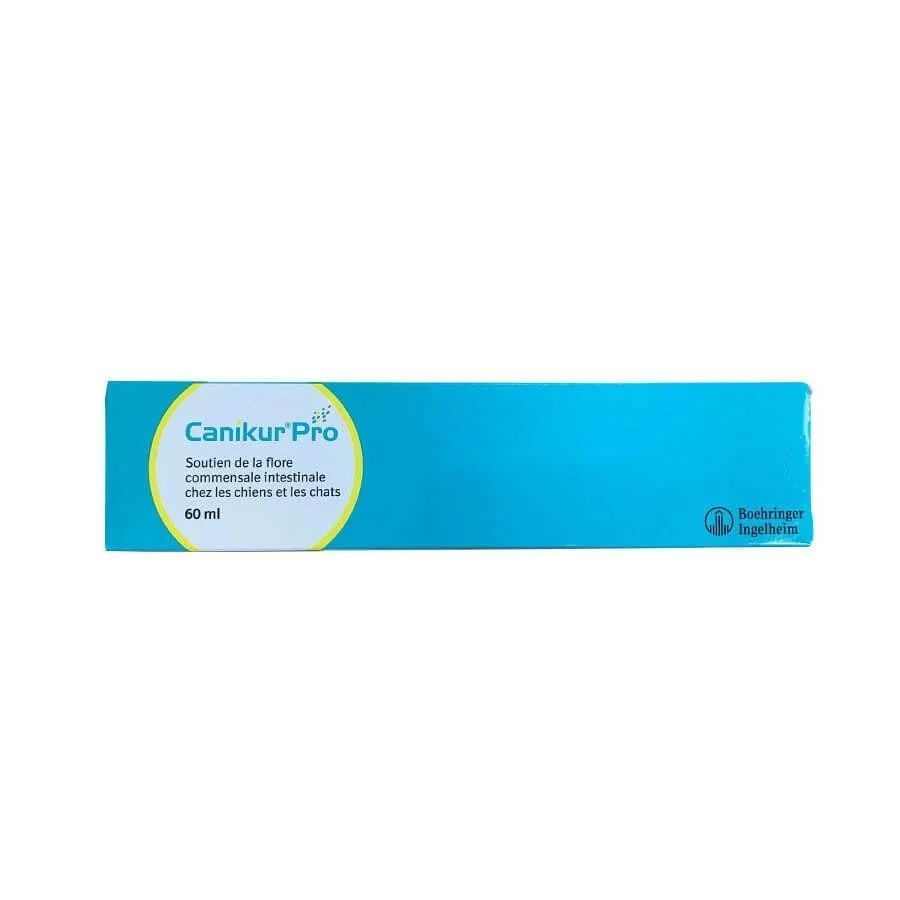 Canikur Pro Paste Syringe - 60ml clear 60 ml (Pack of 1)