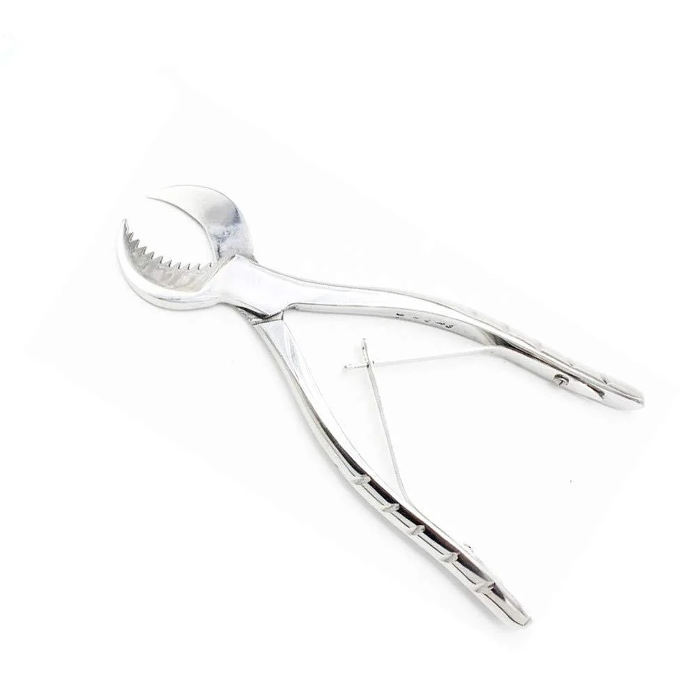 Dental Pliers Plaster Nippers Cutter Dentist Lab Equipment Cow Horn Jaws Serrated Blade Spring Action by Hbmol (Large)