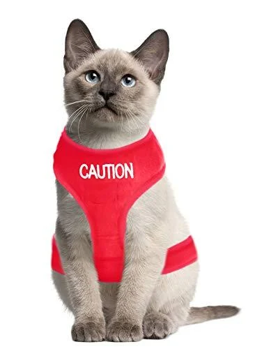 Dexil Colour Coded Cat Harness Warning Alert Vest Padded and Water Resistant Red CAUTION (S-M) Small-Medium Red CAUTION