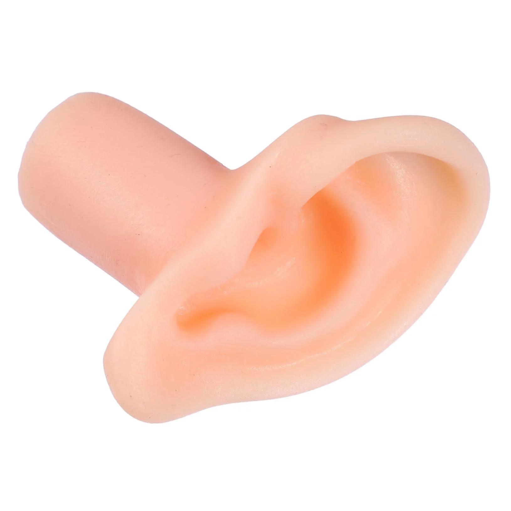 Beavorty Ear Model Silicone Ear Mold Imitation Ear Mold Simulation Ear Mold