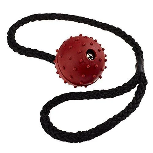 Classic Pet Products Pimple Ball on a Rope 50 mm Red
