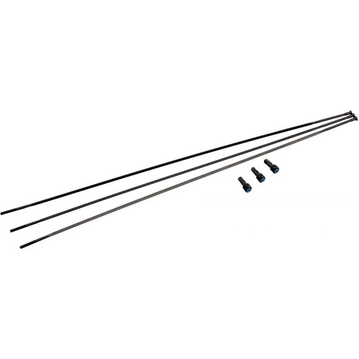 SRAM Straight Pull Rail 50 Spoke (Pack of 3) 281 mm Black