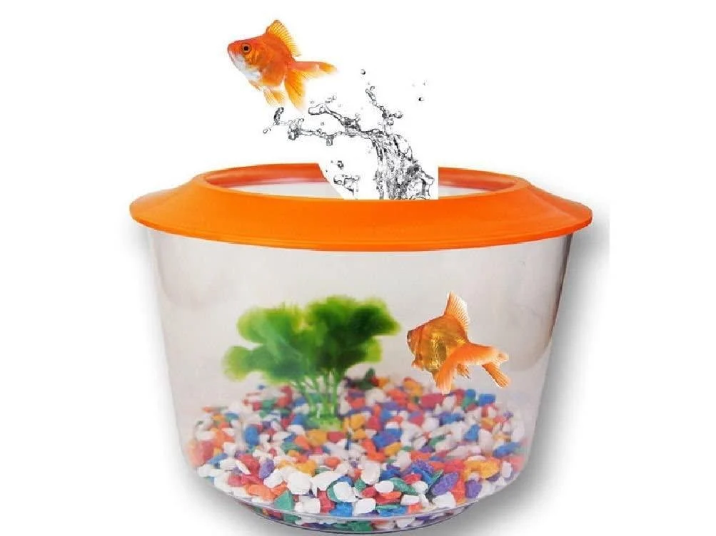 GOLDFISH STARTER SET KIT PACK TANK AQUARIUM BOWL LID GRAVEL PLANT GOLD FISH HOME - Pet Living