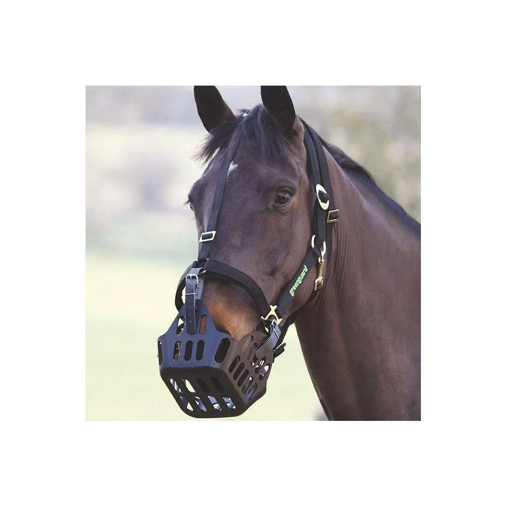 Greenguard Headcollars Black Small Pony Black - Shires
