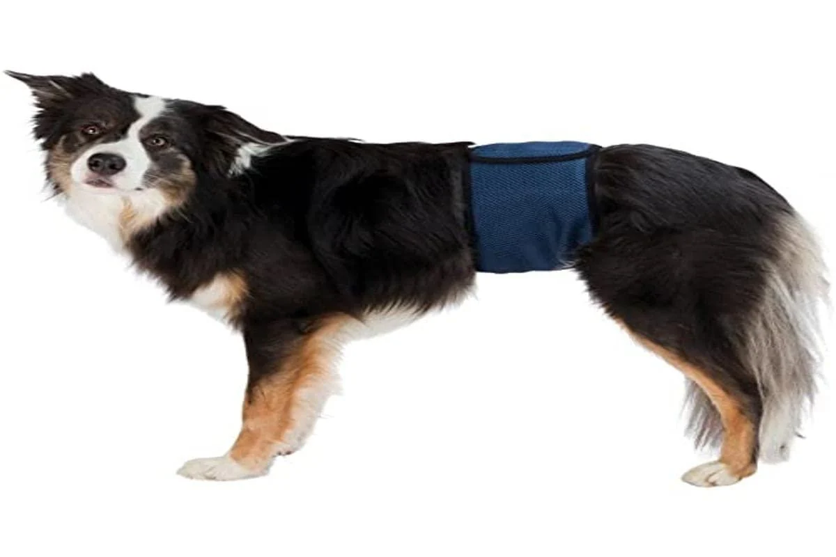 TRIXIE male dog bandage - S/M SM: 37-45 cm dark blue