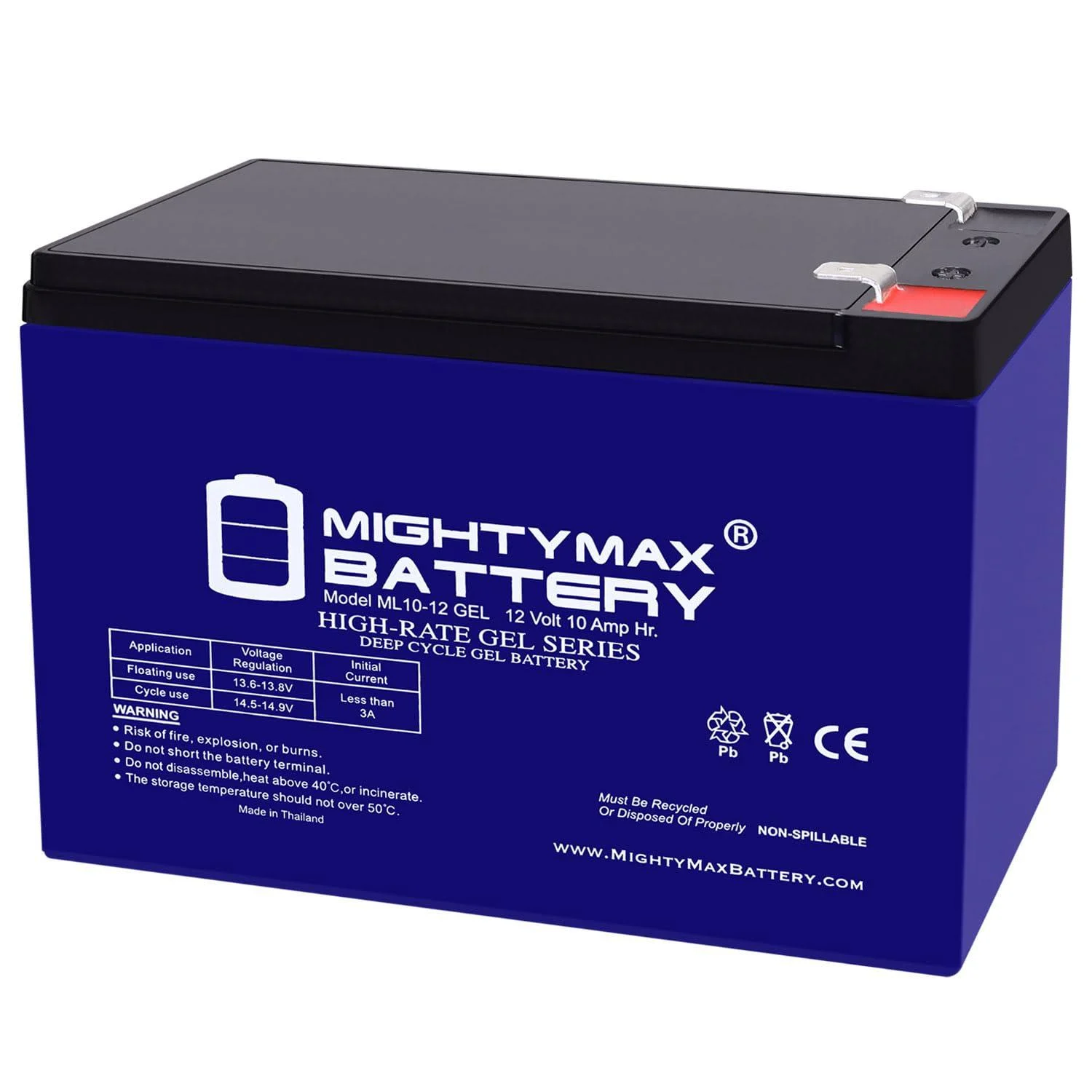 Mighty Max Battery 12V 10AH Gel F2 Replacement Battery Compatible with IT-YB12100