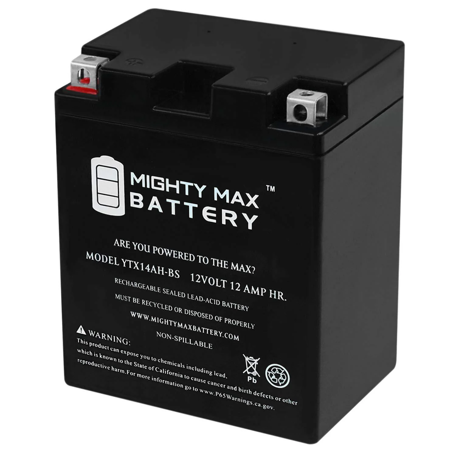 Mighty Max Battery YTX14AH-BS 12V 12Ah Battery for Yamaha YFM350ER Moto 4 350cc 87-95