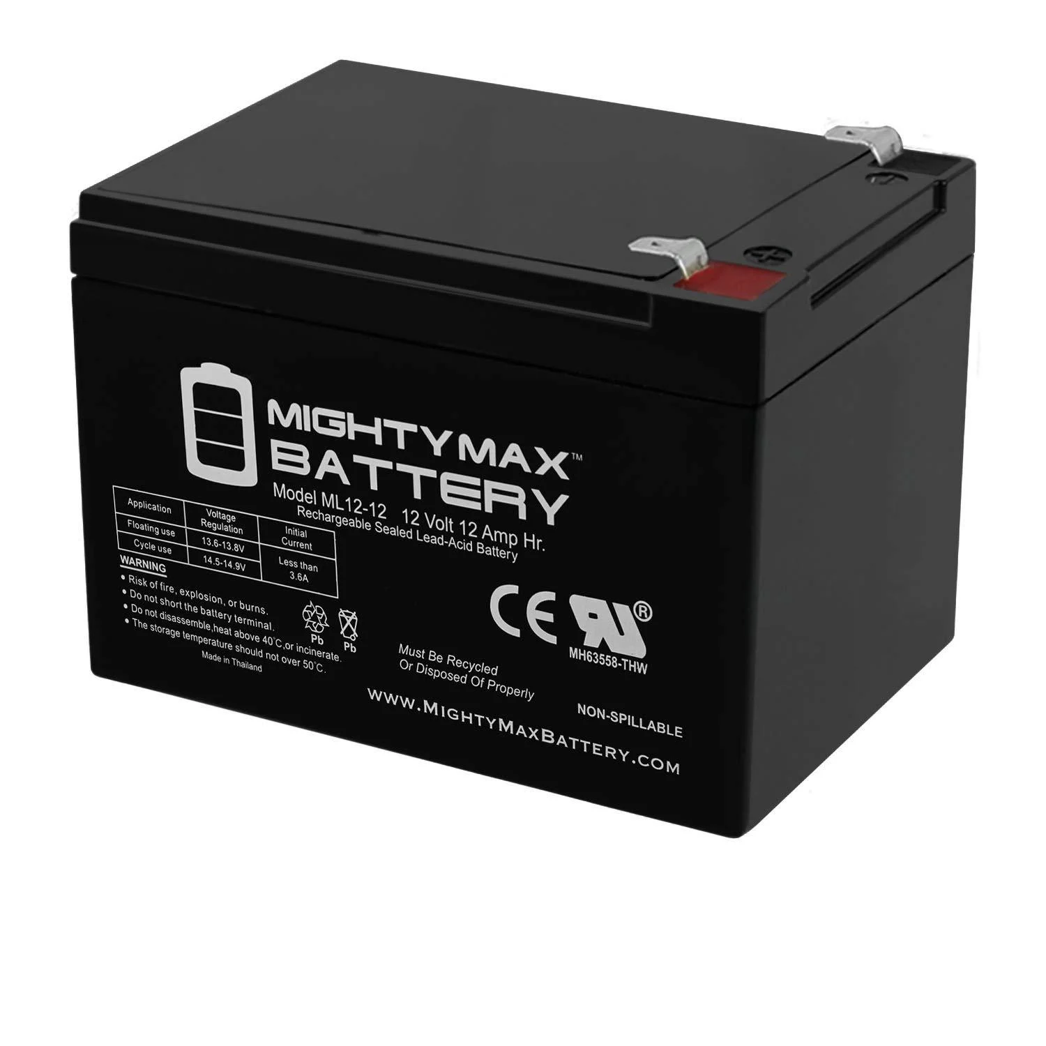 Mighty Max Battery 12V 12AH SLA Battery Replacement for Long Way LW-6FM12