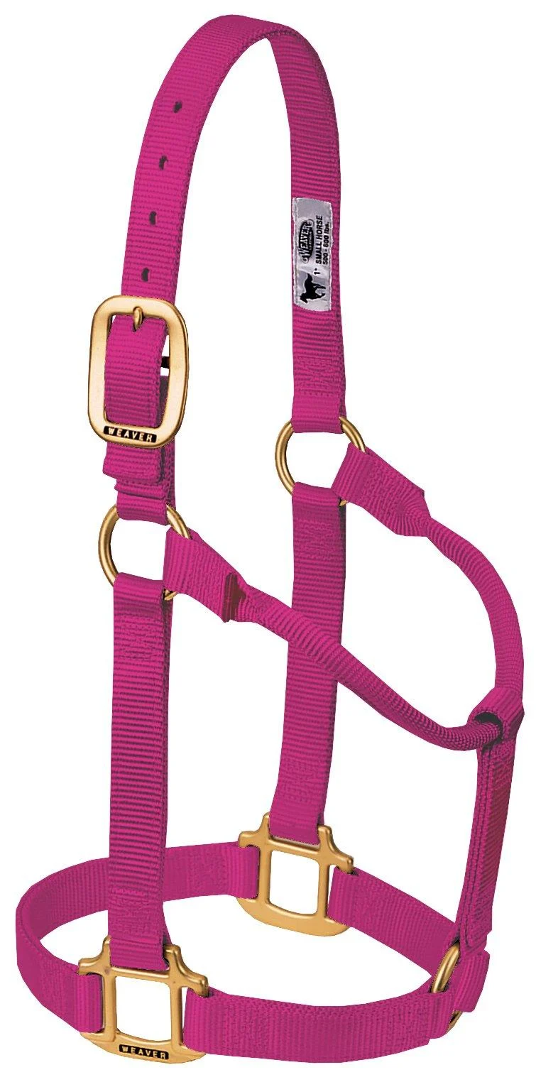WEAVER Leather Non-adjustable Halter Raspberry Yearling