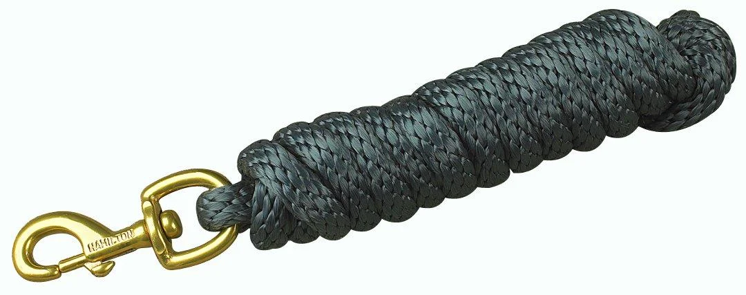 Hamilton Poly leash with snap hook graphite