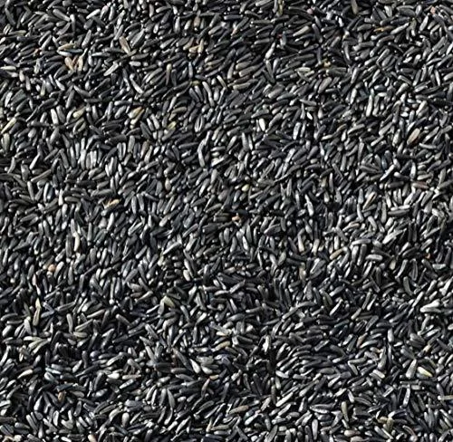 NIGER NYGER SEED 5kg High Energy High Protein Premium Quality All Year Round Wild Garden Bird Seed - Cutting It Vine