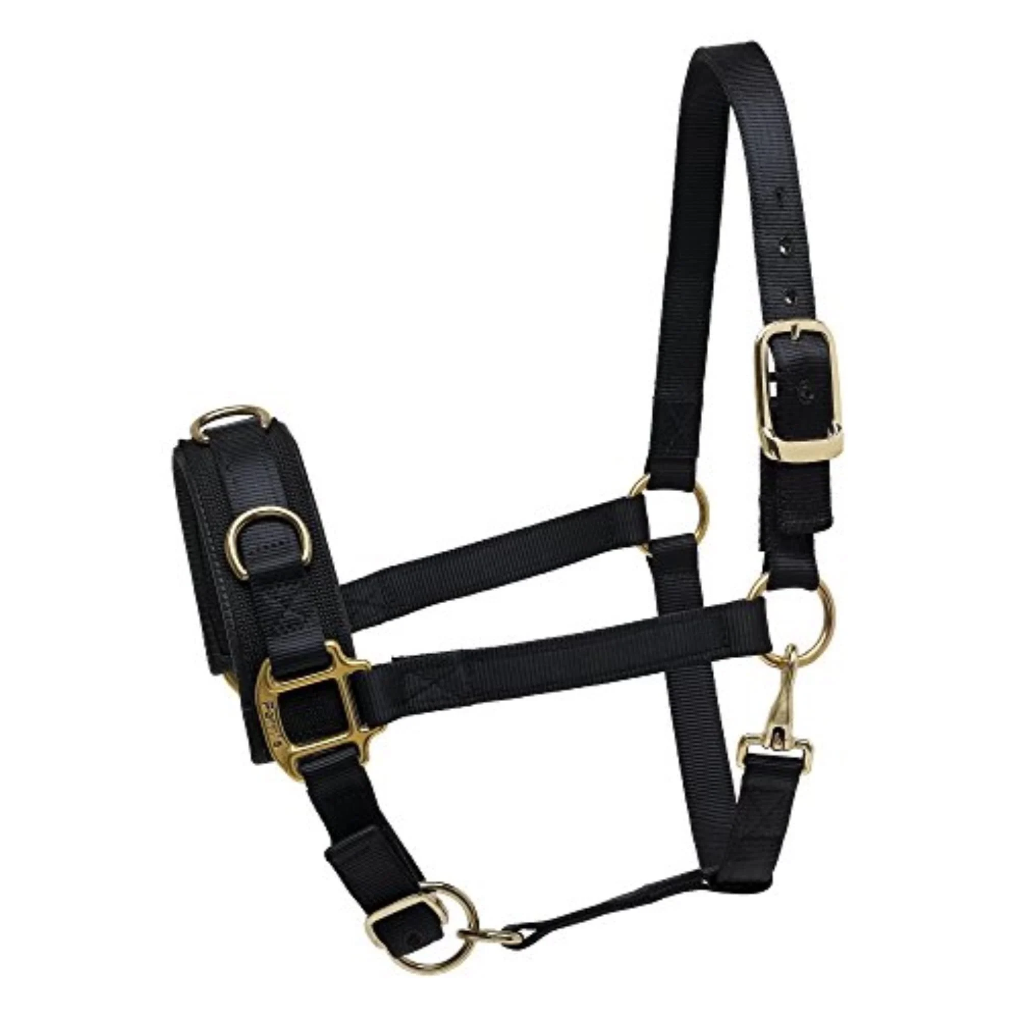 Perri's Nylon Lunge Caveson, Black Horse