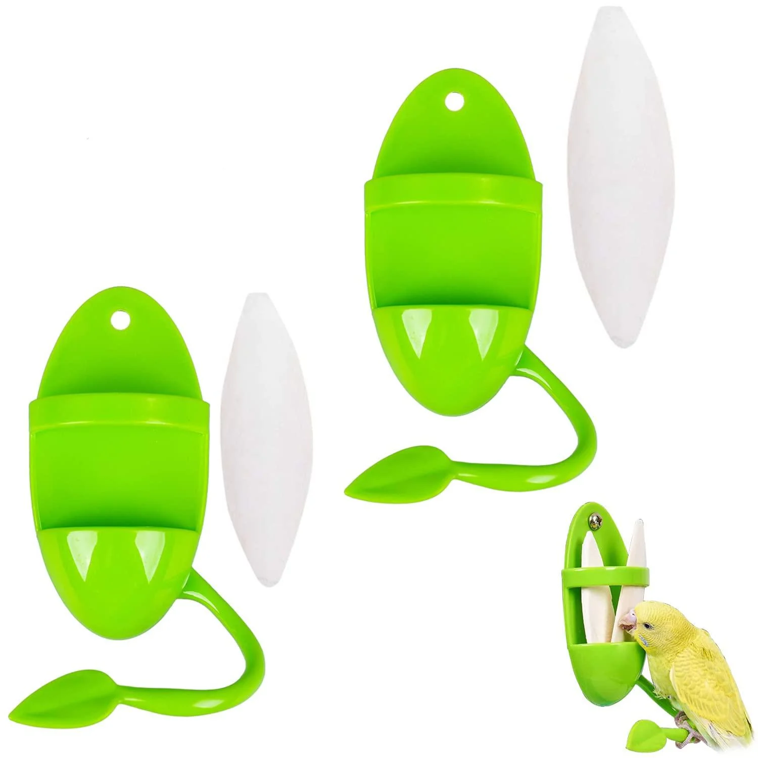Cuttlebone 2 Pack Large Cuttlefish Bone with Holder for Birds Cockatiels Parakeet Turtles Tortoise Snails (Color AB) green - Mivyy