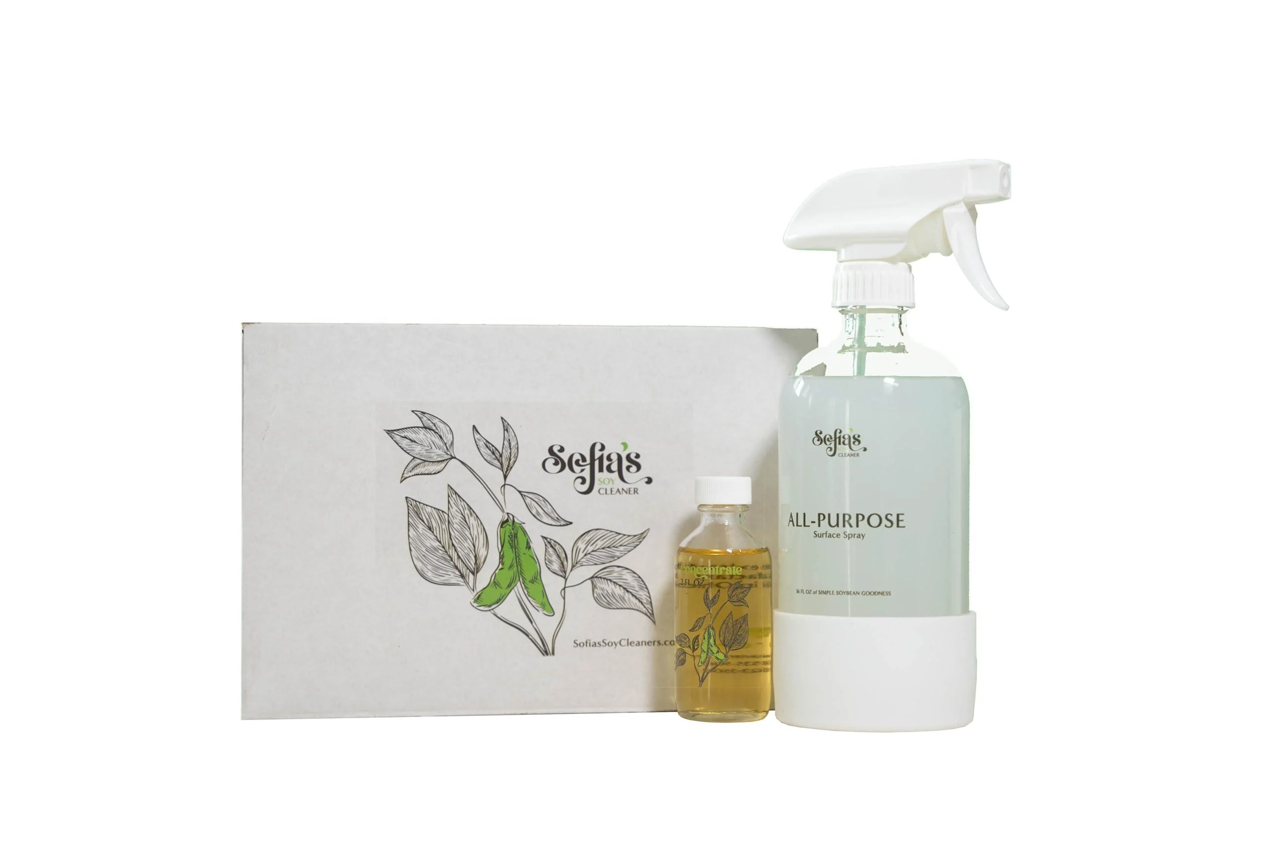 Sofia's Soy Cleaners Starter Kit - Glass