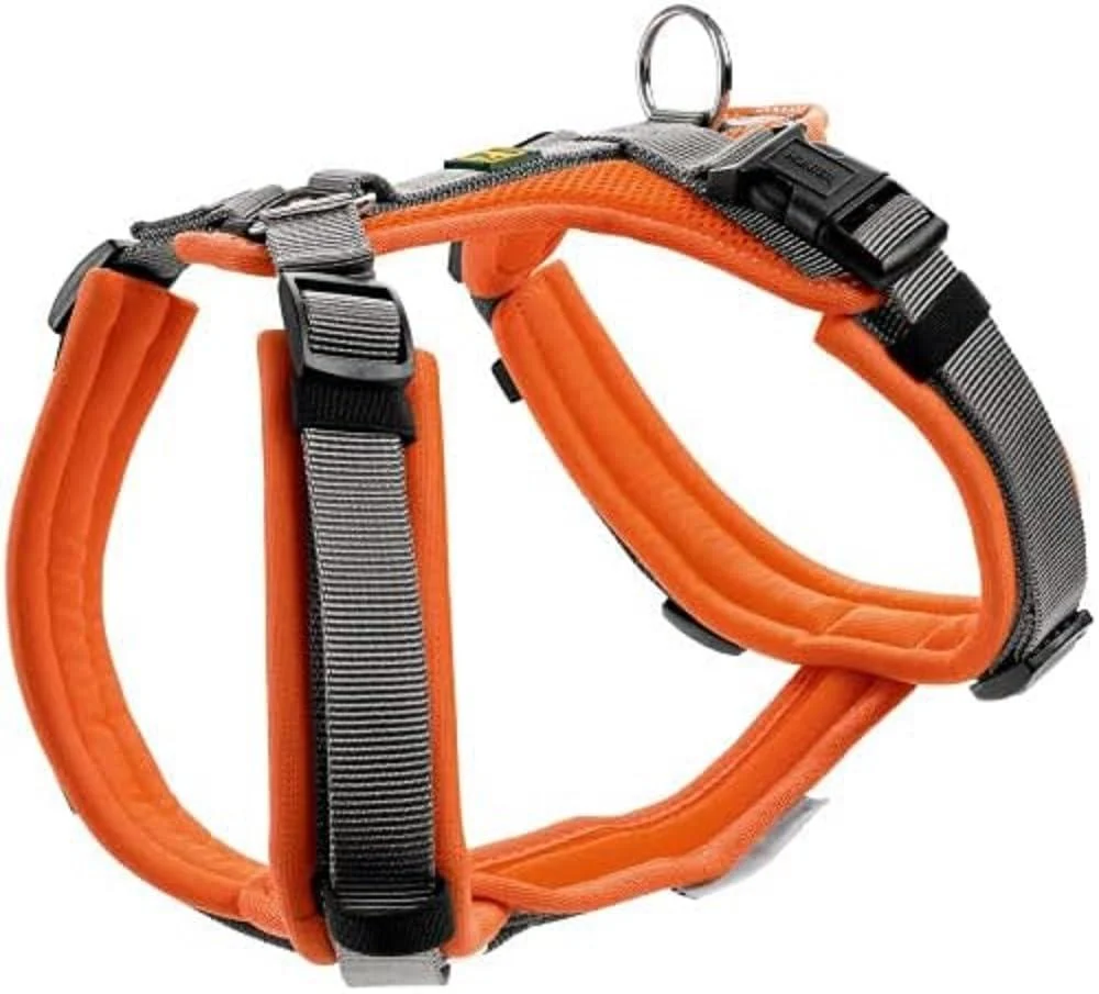 HUNTER Harness Maldon 37-53/XS-S Orange/Grey XS-S