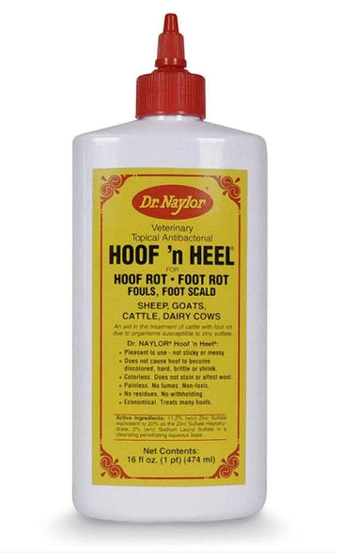 Naylor Dr Cattle Hoof-N-Heel Liquid 16 oz