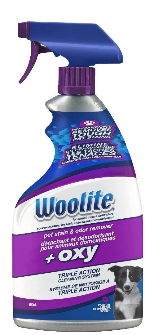 BISSELL 22-Ounce Woolite Oxygen Pet Stain and Odor Remover 650 ml (Pack of 1)