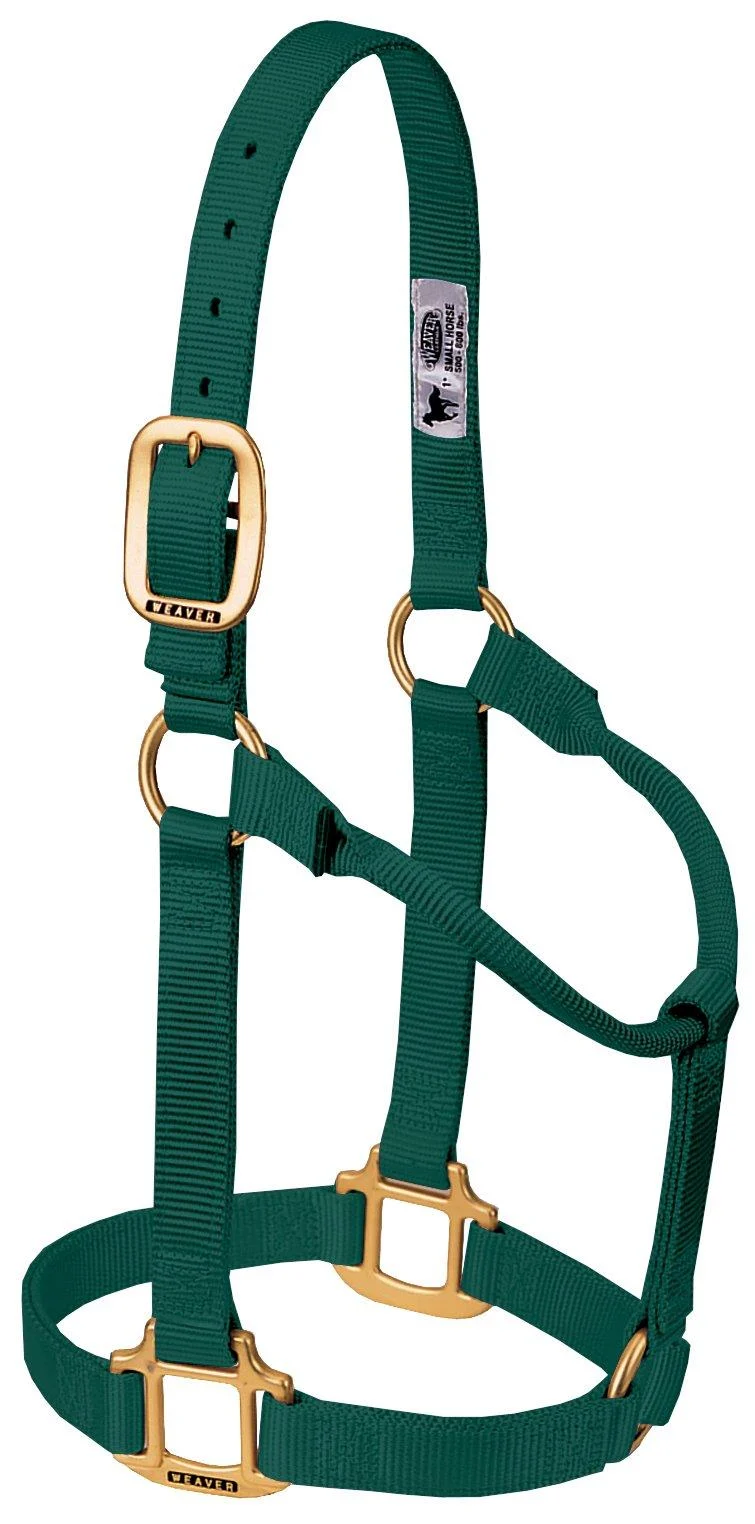 WEAVER Leather Non-adjustable halter hunter green Yearling