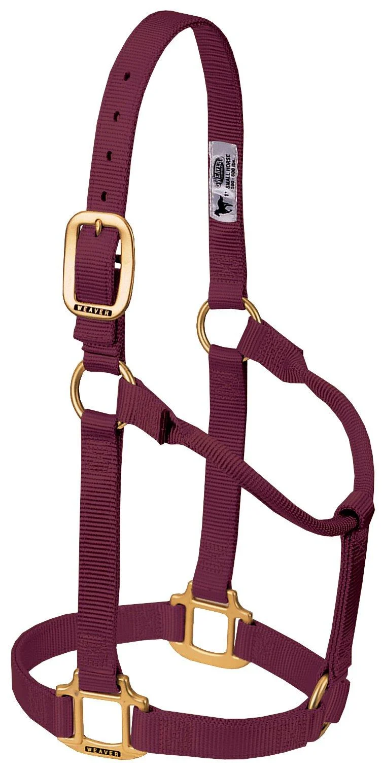 WEAVER Leather Non-adjustable halter burgundy Large Horse