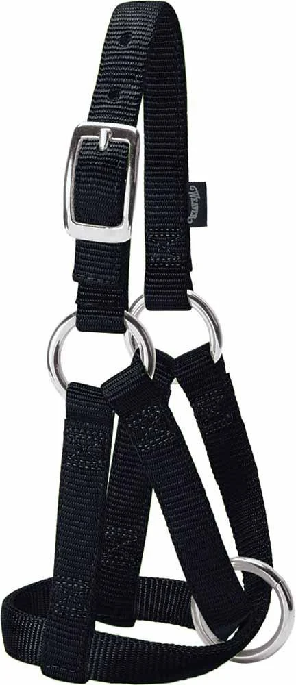 WEAVER Leather Goat Halter Black Small/3/4-Inch