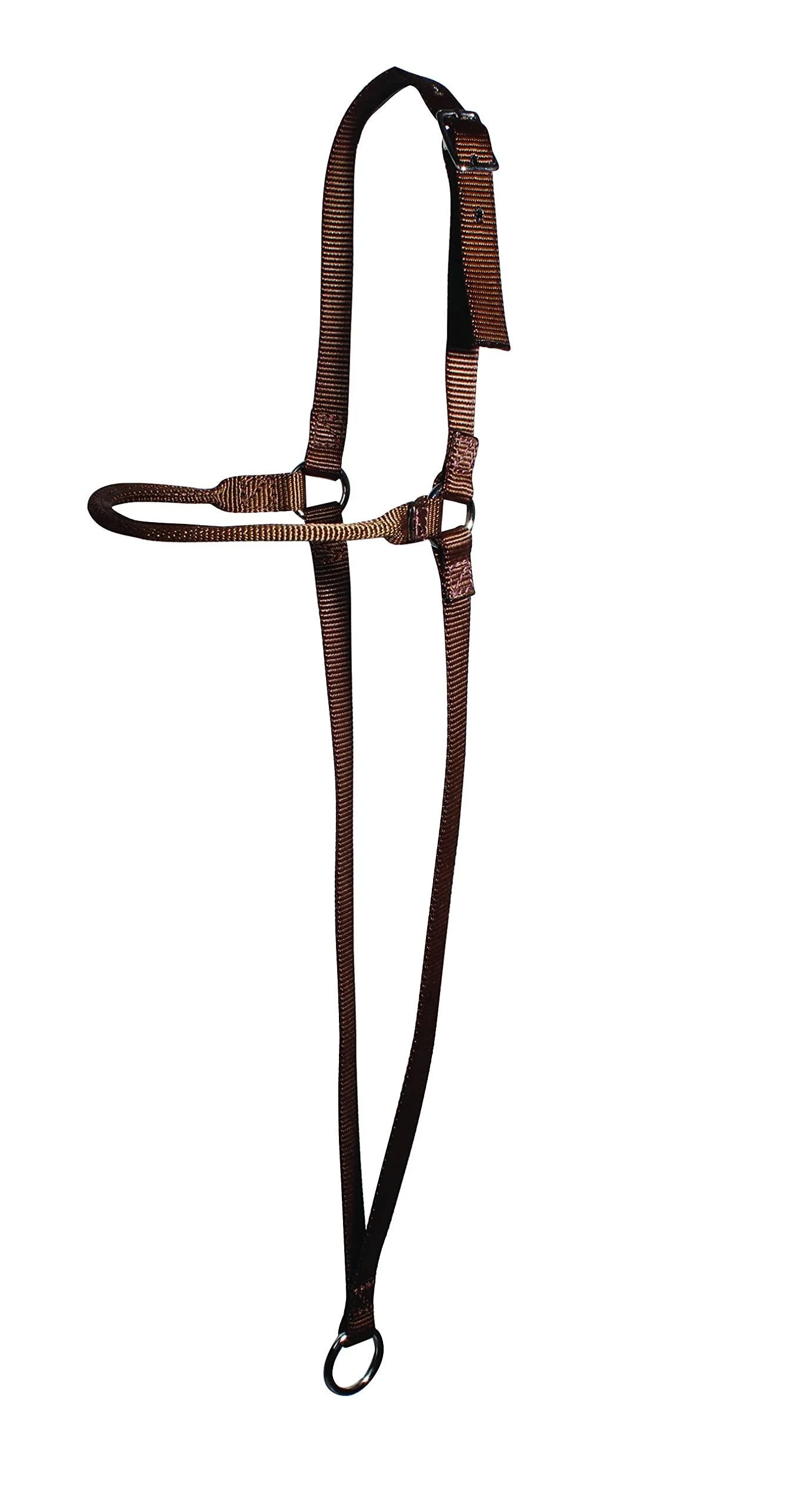 Professional's Choice Web War Bonnet Brown