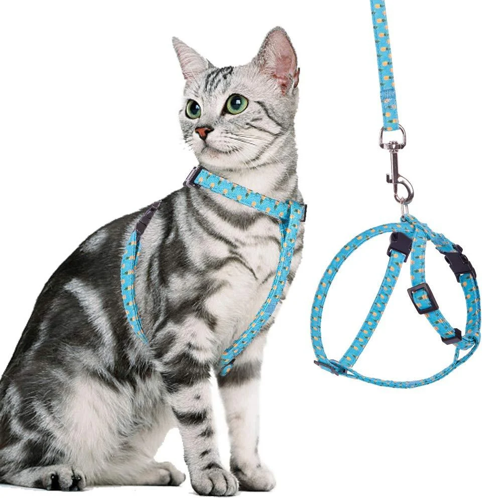 BINGPET Cat Harness and Lead Set Escape Proof - Adjustable Soft Vest Harnesses for walking with Pineapple Pattern Pet Chest Strap for Small Medium Large Kitten