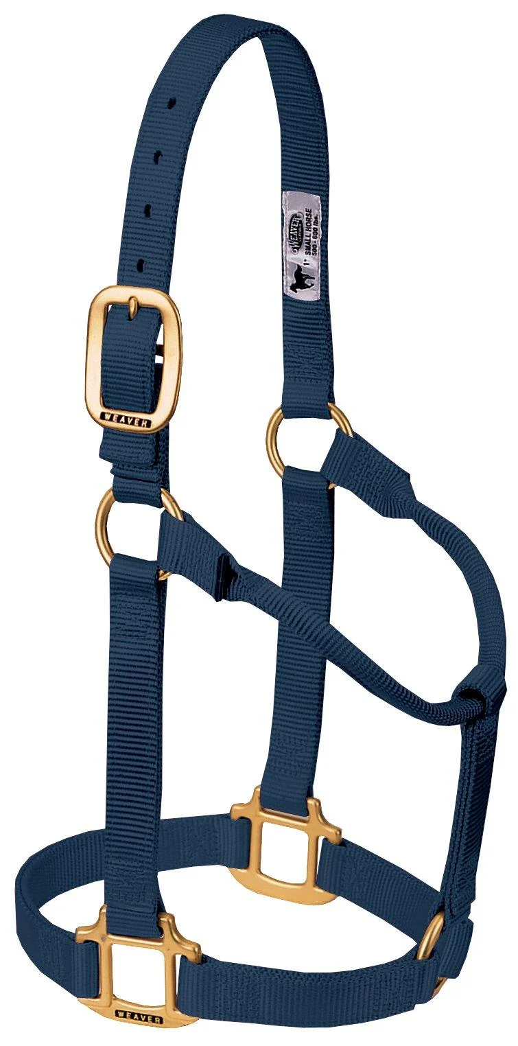 WEAVER Leather Non-adjustable Halter Navy Blue Weanling/Pony