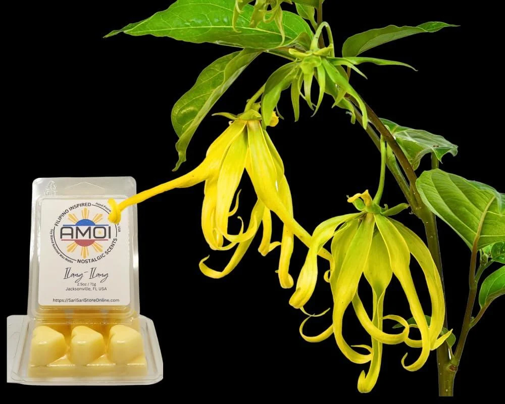 Filipino-Inspired Ilang-Ilang (Ylang-Ylang) Scented Candle Wax Melts