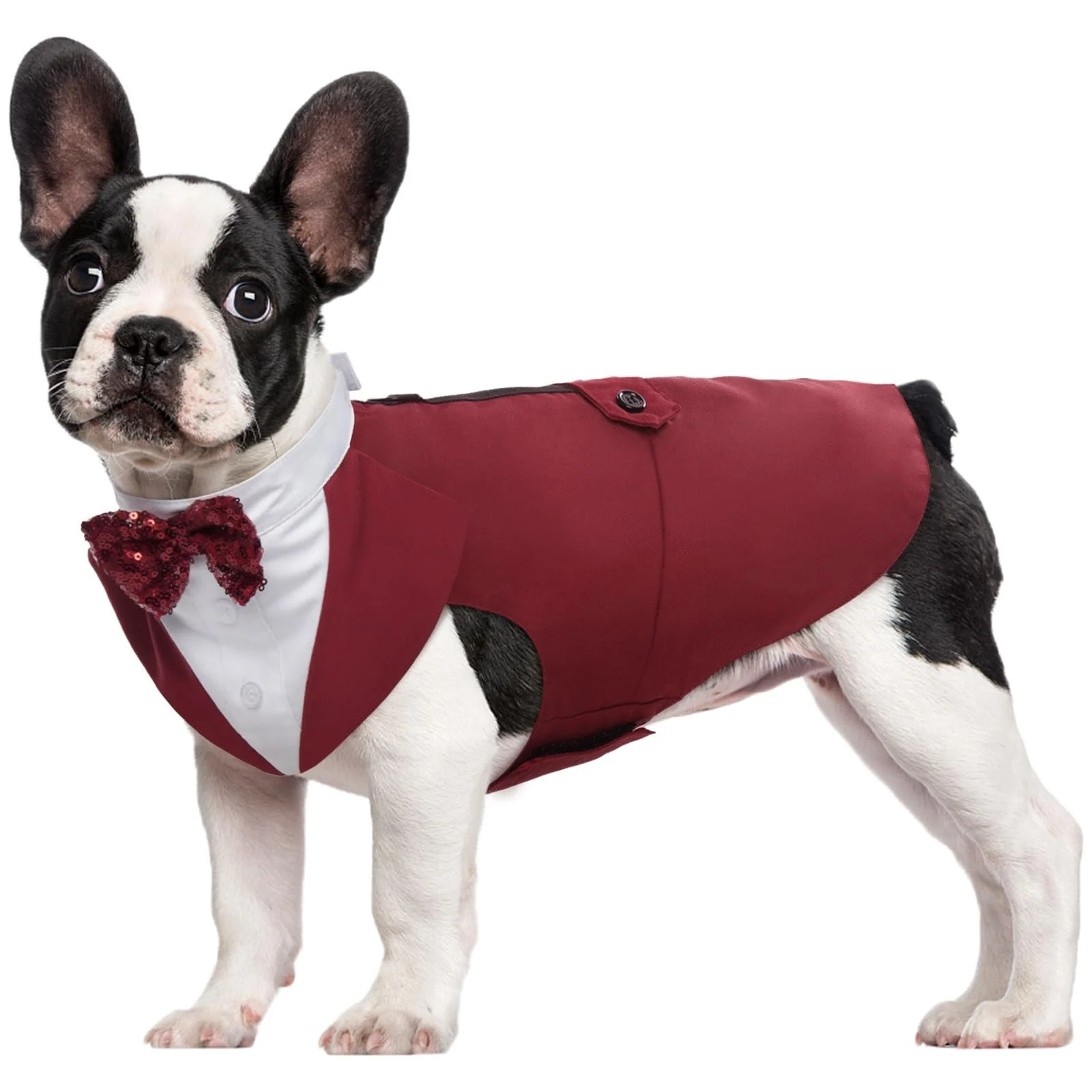 Kuoser Dog Smoking Suit & Bandana Set Pet Fomal Clothing Dogs Mantel with Removable Flying Dog Suit Puppy Costume Shirt For Wedding Halloween Birthday Party S-XXL S back length: 29 cm dark red