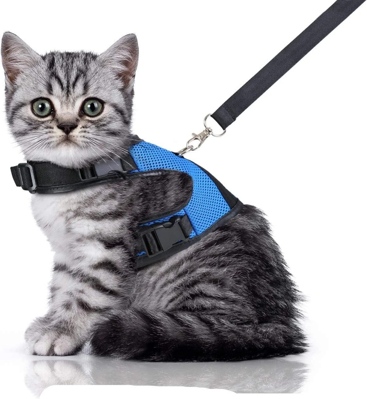 Bella & Balu cat dishes including a leash - sustainable and robust breast dishes with soft inner lining and breathable mesh - for carefree walking (S blue) S blue